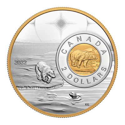 A picture of a 5 oz. Fine Silver Coin The Bigger Picture: The Polar Bear (2022)